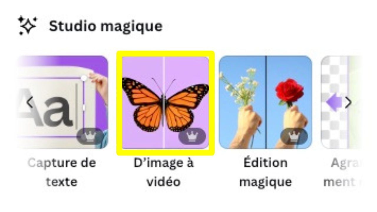 Illustration Image to Video Canva